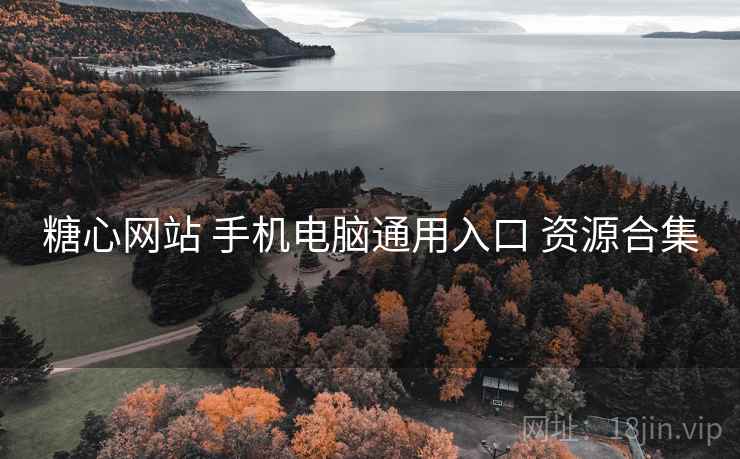 糖心网站 手机电脑通用入口 资源合集