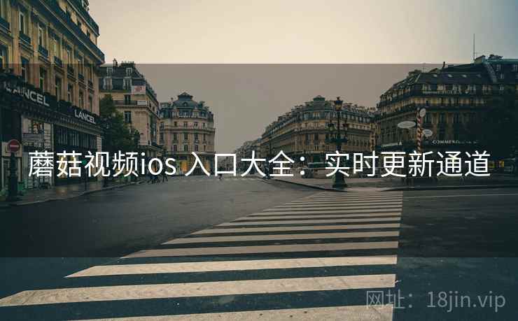 蘑菇视频ios 入口大全：实时更新通道