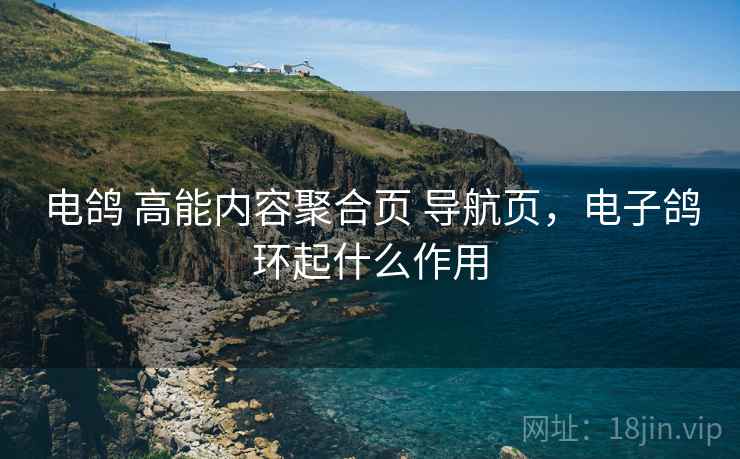 电鸽 高能内容聚合页 导航页，电子鸽环起什么作用