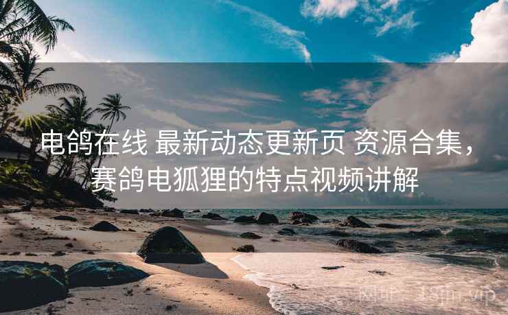 电鸽在线 最新动态更新页 资源合集，赛鸽电狐狸的特点视频讲解