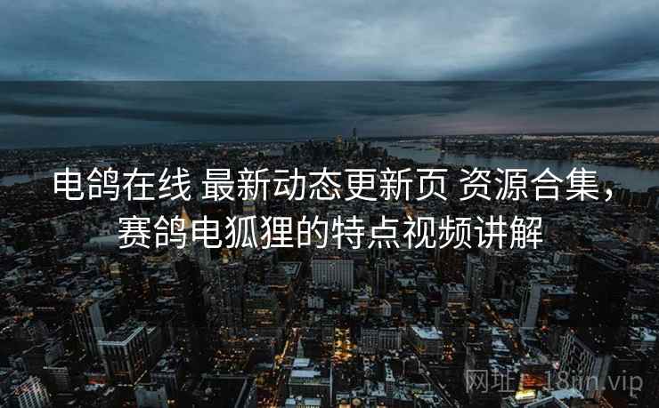 电鸽在线 最新动态更新页 资源合集，赛鸽电狐狸的特点视频讲解