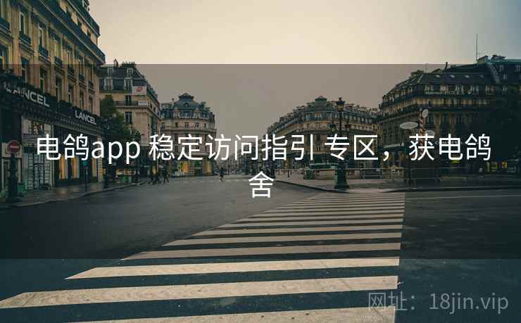 电鸽app 稳定访问指引 专区，获电鸽舍