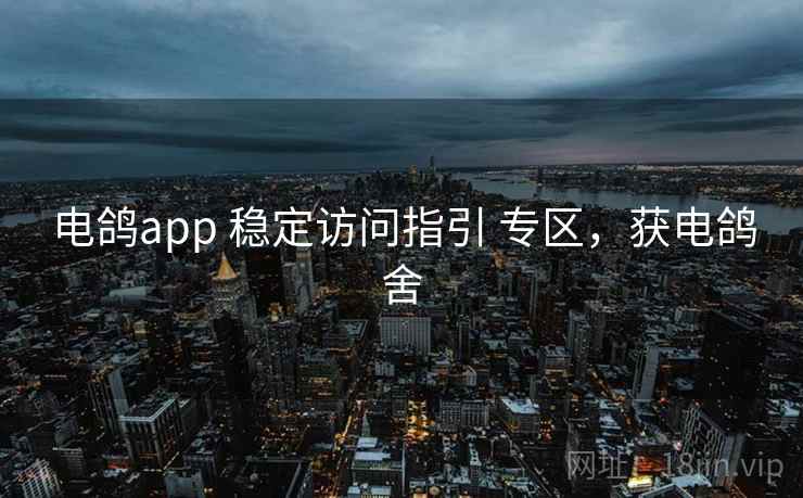 电鸽app 稳定访问指引 专区，获电鸽舍